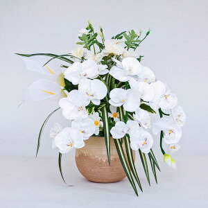 ~ ~傤 ~iX G} ӒAW ʂ̉