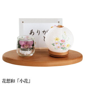 Xe[W ~ ~傤 O ~ V~ ~ 䋟 OXt[ hCt[ tHgt[ ԑza  R[hX OZ-SOU5