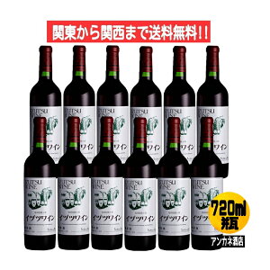 y֓֐܂őz@CdcC@IZUTSU@WINE@X^_|hԁ@13@C@@720ml@r@1P[X@12{@@Ј䓛C