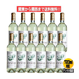 【関東から関西まで送料無料】　イヅツワイン　IZUTSU　WINE　スタンダ−ド白　13％　ワイン　　720ml　瓶　1ケース　12本入り　やや甘口　株式会社井筒ワイン