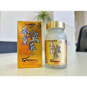 \新生活応援キャンペーン/【3個セット】 藤原 冬虫夏草 とうちゅうかそう 90粒入 3本 ゴールドシリーズ養生ギフト用 / チベット高原産冬虫夏草菌糸ハードカプセル 健康食品 サプリメント