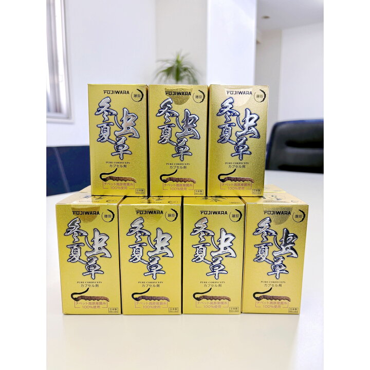 楽天市場】＼年末年始 大感謝 SALE／50％以上OFF 藤原 冬虫夏草 とう 