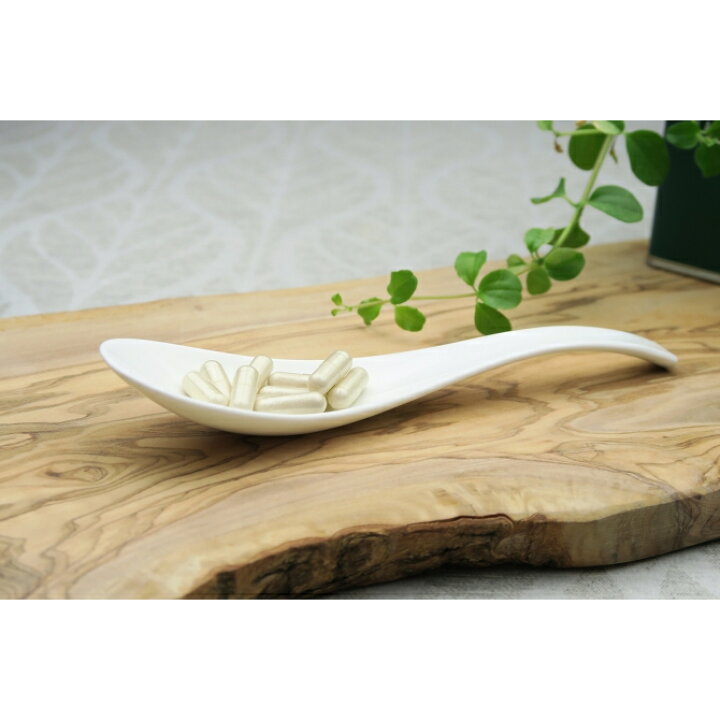 楽天市場】＼年末年始 大感謝 SALE／50％以上OFF 藤原 冬虫夏草 とう 