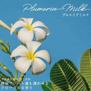 yz ANNX wAIC wATv 60ml Tꔄi  AEgoX  e wAPA