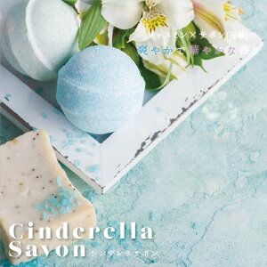 yz ANNX ANKHCROSS Vv[ g[gg wAIC MtgZbg 500ml{g v[g a LO  e AN GNXe w  Ԃ