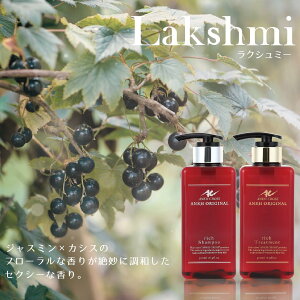 ANNX IWi Vv[ g[gg SET y500ml{gSETz ANVv[Vv[ Tꔄi  mVR  e