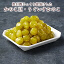 【 送料無料 】うぐいす豆のじっくり蜜漬けかのこ 100g入