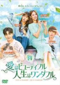 【中古】DVD▼愛はビューティフル、人生はワンダフル 14(第27話、第28話) レンタル落ち ケース無