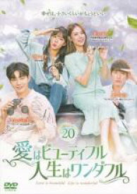 【中古】DVD▼愛はビューティフル、人生はワンダフル 20(第39話、第40話) レンタル落ち ケース無