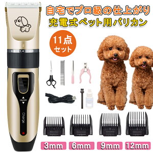 ybgpoJ poJ LpoJ vp ƒp g~O Zbg USB[d x ᑛ eʃobe[ dCʃfBXvC O\Jb^[ ߉\ ybg