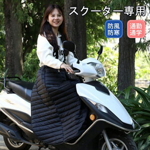 bOJo[ XN[^[p oCNpbOJo[ I[goCp h ₦΍ ȓ g O ۉ h H ubN AEghA o| z