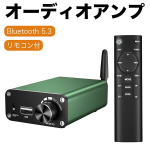 USB������ 5.3 �ΐF Hifi BASS PSE�}�[�N AC�A�_�v�^�[�t AUX�X�e���I �n�C�p���[ 3.5mm �I�[�f�B�I�A���v �ő�o��200W�i100W+1