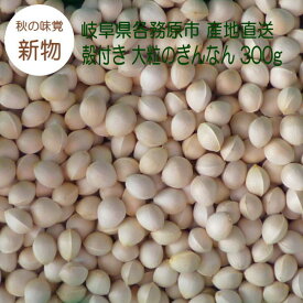 【個数限定】殻付き 生銀杏 大粒のぎんなん 300g 新物 2026年秋 岐阜県各務原市産 日本の秋の味覚 旬の味 産地直送 日本国内産 銀杏 新銀杏【メール便 送料無料】【1200円 ポッキリ】