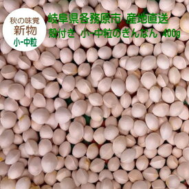 【個数限定】殻付き 生銀杏 小-中粒のぎんなん 400g 新物 2026年秋 岐阜県各務原市産 日本の秋の味覚 旬の味 産地直送 日本国内産 銀杏 新銀杏【メール便 送料無料】【1000円 ポッキリ】