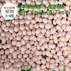 yzkt  -̂Ȃ 400g V 2025NH 򕌌esY {̏H̖o {̖ Yn {Y  Vǁy[ zy1000~ |bLz