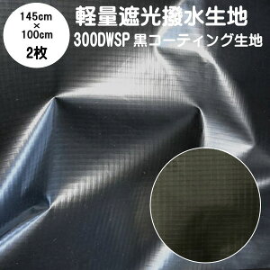 Ö nyJbg2Zbgzy󂠂 Bzy  Ռn ՌiCn 300DWSP 145cm×100cm 2Zbg n(R[eBO/I[uhuiq̒n͗lL)i R[e
