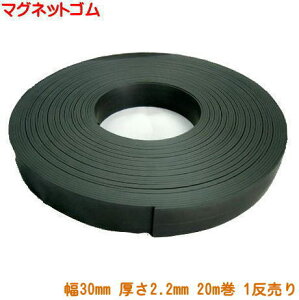 y1z}OlbgS 1 30mm×20m 2.2mm HȒPIS݂ȃ}OlbgiƖp ܂Ƃߔj