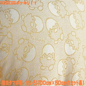 yJbgςݐnzWJ[hD hn ^}{  100cm×50cm Y {in h R JlJ J[e  hГАn 킢njy[ zy100