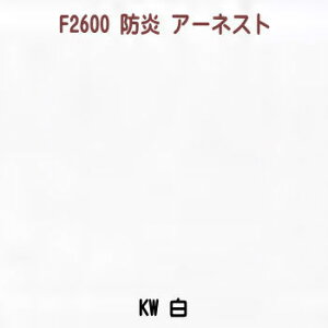 hHnynJbg/1mPʁzA[lXg F2600 KW n155cm {hFi hiCj|GXe cC Yi pc J[e e[uNX hГ W