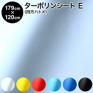 yizJ[^[|V[g lng^Cv 179cm×120cm ng6×4 nEFibv^[|2 6F h iԎd؂  h J悯 悯 fMV[g fMJ[e 