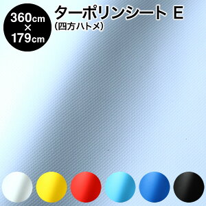 yizJ[^[|V[g lng^Cv 360cm×179cm ng10×6 nEFibv^[|2 6F h iԎd؂  h J悯 悯 fMV[g fMJ[e 