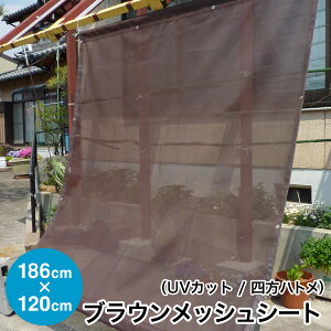 悯sOՕ89%tbVV[g UV1000yizJ[bVV[Y uE lng^Cv 186cm×120cm ng6×4 ʂ̂悢Ռlbg Y {iՌ UVJbg 