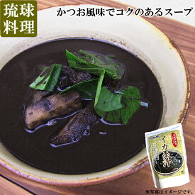 イカスミ汁（500g）イカ墨汁 かつお風味 沖縄料理 アンマー ホクガン（常温）※冷蔵同梱可