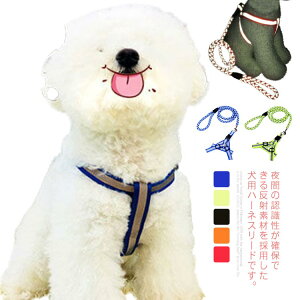 p ^ ^ n[lX [ht  Ԕ U o S ̖h~ ˍޗ ߉\ y h~ pi ybgObY ` v[h?