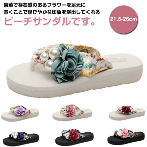 r[`T_ fB[X  ԕ y gOT_ ₷ q[ C ɂȂ ̎q s r W[p p Sn  킢