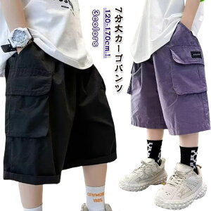 J[Spc  pc 7 j̎q J[Spc EGXgS  LbY q  Y{ qǂ w  JWA {gX C[W[pc n[tpc ct 