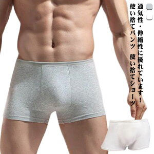 10Zbg ĝăV[c Y Rbg 傫TCY @ ĝ {NT[pc  pc  jp ^ gїp o s @    tBbglX W h