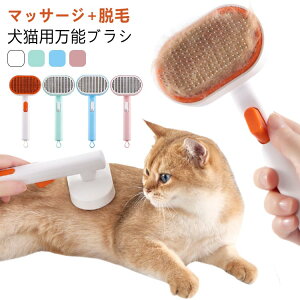 �y2�{�Z�b�g�z�y�b�g�u���V �L�u���V ���u���V �����ю�� �� �L �u���b�V���O �Z�� ���� �l�R�u���V ������� �y�b�g�p�i ���^ �ю�� �y�b�g�O���[�~���O ���� �P�A ���^�� ���^�� ��^�� 