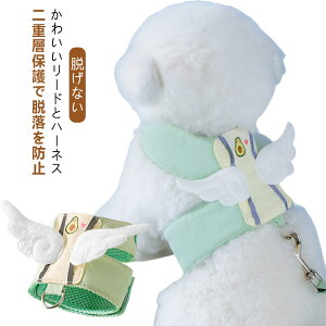 犬 ハーネス 翼 つばさ 翼付き 翼つき小型犬 かわいい アボカドグリーン リード セット おしゃれ 猫 ソフトハーネス ウェア 胴輪 イヌ ネコ マジックテープ ペット リード付き キャット 抜け