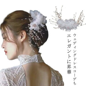 wbhhX   J`[V fB[X ԉ EFfBO q ܎O wAANZT[ Ԃт p[ sAm\ wAANZT[ q ̎qhXwAANZ Lb