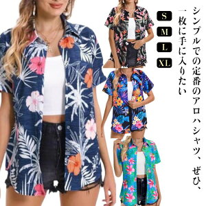 AnVc nCVc Vc fB[X uEX  ][gEGfBO jZbNX ԕ vg  JWA ][g r[` Jbv Y p[eB[ w 