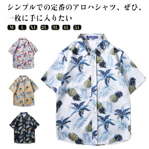 AnVc nCVc Vc fB[X uEX  ][gEGfBO jZbNX ԕ vg  JWA ][g r[` Jbv Y p[eB[ w 