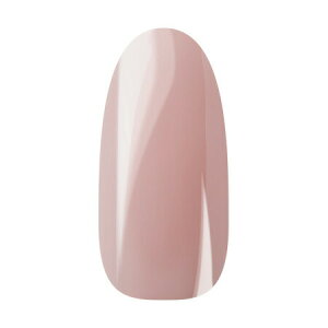 Ann Professional �y�����z�J���[�W�F��023�@�I�����W�s���N�x�[�W��