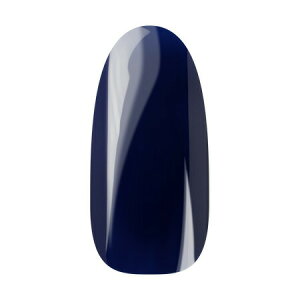 �y�y�V�}���\���|�C���g20�{�zAnn Professional �y�����z�J���[�W�F��045�@�l�C�r�[