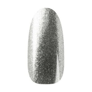 Ann Professional �y�����z�J���[�W�F��070�@�V���o�[����