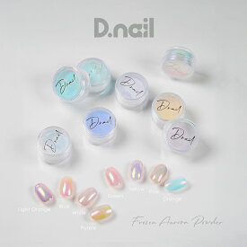 D.nail【公式】フローズンオーロラパウダー【6色単品】
