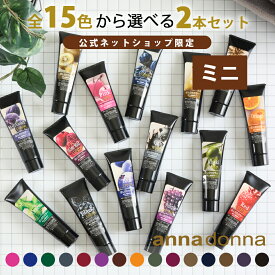 【公式ショップ限定】【期間限定販売】【 1000円ポッキリ 送料無料 】エブリ カラートリートメント ミニ (50g) お試し 2本セット 1000円ぽっきり アンナドンナ ヘアカラートリートメント ピンク アッシュ 青 ムラサキ ワイン グレー カラー剤 セルフカラー セルフ ヘアカラー