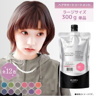 【8/19〜販売開始】【公式ショップ】【第三世代】エブリ　カラートリートメント　ラージサイズ(300g) (ア…