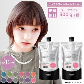 【ポイント10倍！4日20時〜11日1時59分まで】【公式ショップ】【26年8月発売・第三世代】エブリ　カラートリートメント　ラージサイズ(300g) 2個セット(アンナドンナ EVERY ヘアカラー 白髪染め セルフカラー 髪染め カラー剤)