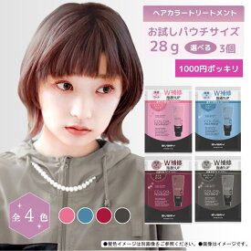 【公式ショップ】【期間限定販売】【 1000円ポッキリ 】【第三世代】エブリ　カラートリートメント　お試しパウチサイズ(28g) 3個セット (アンナドンナ EVERY ヘアカラー白髪 白髪染め セルフカラー 髪染め カラー剤 色落ち防止 髪色キープ)