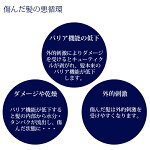 傷んだ髪の悪循環