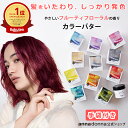 【公式ショップ】エブリ　カラーバター単品 (230g)選べる11色(アンナドンナ ヘアカラートリートメント アッシュ ピンク ブルー シルバー 青 クリア ヘアカラー トリートメント カラー セルフカラー 混ぜる カラー剤 カラーリング ブリーチ)