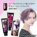パープル・ワインレッド系カラー、カラートリートメントに