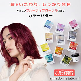 【公式ショップ】エブリ　カラーバター単品 (230g)選べる11色(アンナドンナ ヘアカラートリートメント アッシュ ピンク ブルー シルバー 青 クリア ヘアカラー トリートメント カラー セルフカラー 混ぜる カラー剤 カラーリング ブリーチ)