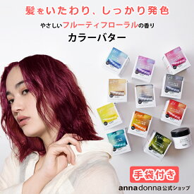 【公式ショップ】【送料無料】エブリ　カラーバター単品 (230g)選べる11色(アンナドンナ ヘアカラートリートメント アッシュ ピンク ブルー シルバー 青 クリア ヘアカラー トリートメント カラー セルフカラー 混ぜる カラー剤 カラーリング ブリーチ)