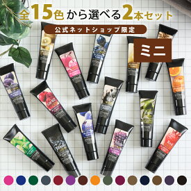【公式ショップ限定】【期間限定販売】【 1000円ポッキリ 送料無料 】エブリ カラートリートメント ミニ (50g) お試し 2本セット 1000円ぽっきり アンナドンナ ヘアカラートリートメント ピンク アッシュ 青 ムラサキ ワイン グレー カラー剤 セルフカラー セルフ ヘアカラー